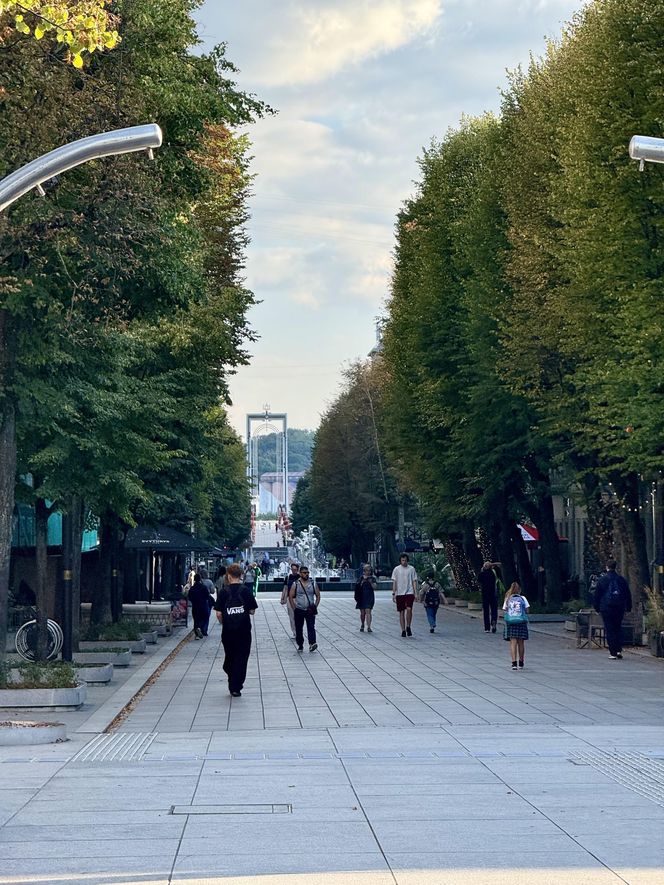 Kowno Aleja Wolności