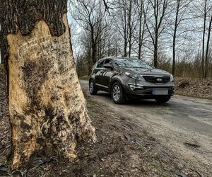 Mateusz znał tę drogę na pamięć. Jechał odwiedzić ojca. Zginął kilkaset metrów od domu