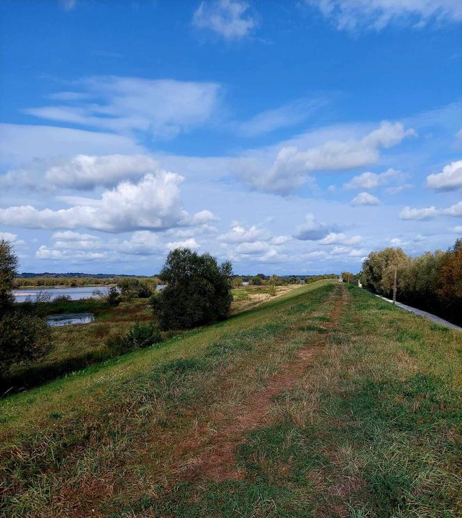 Stąd Hitler patrzył na przeprawę wojsk przez Wisłe. To pół godziny drogi z Bydgoszczy [ZDJĘCIA]