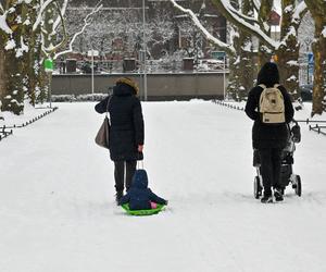 Śnieżny Szczecin 