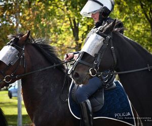 Policyjne konie zdały egzamin!