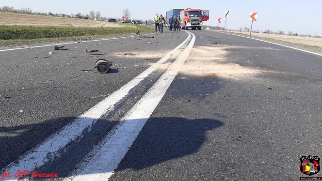 Jechali z dziadkiem na wycieczkę. Zginęli w zderzeniu z tirem