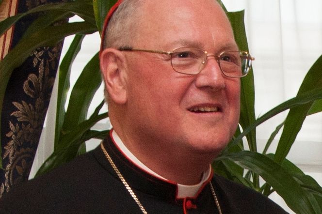 Timothy Dolan, imigracja