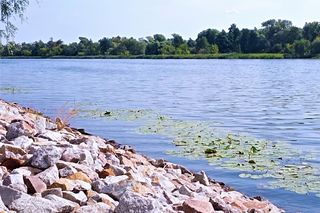 Śnięte ryby w Odrze. Zebrał się sztab kryzysowy. Wszystkie służby w gotowości