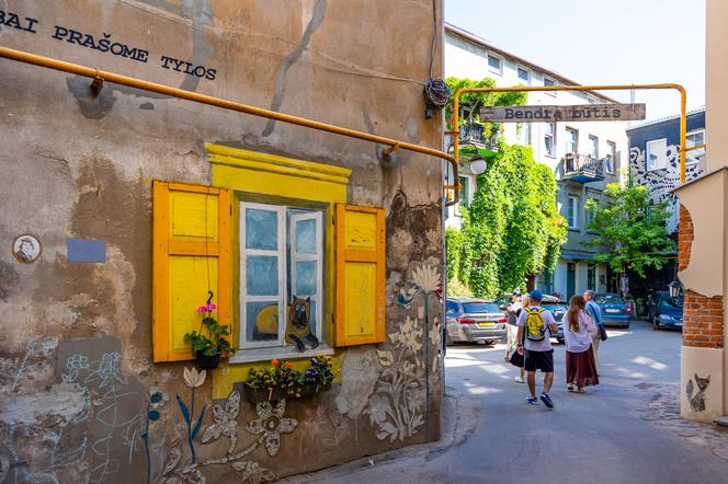 Litewski artysta zmienił swoje podwórko w galerię street artu. Zobacz zdjęcia!