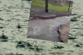 Park w Jezioranach zamienił się w rwący potok po opadach deszczu. Zobacz nagranie