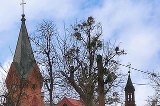 Zabytkowy kościół w Aleksandrowie Kujawskim