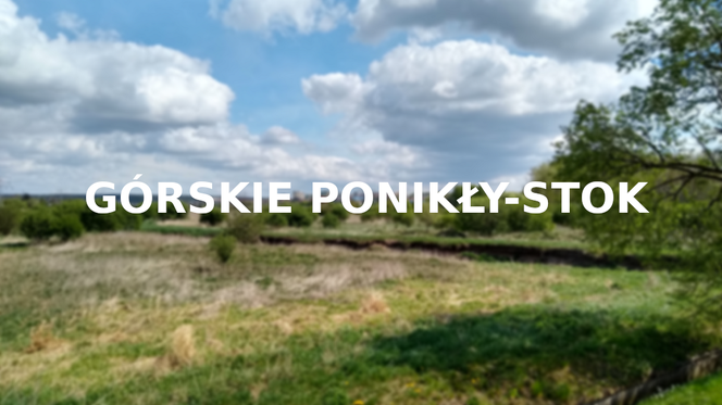 Ponikły