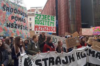 Wielki protest w Krakowie. Strajkowali w obronie klimatu 