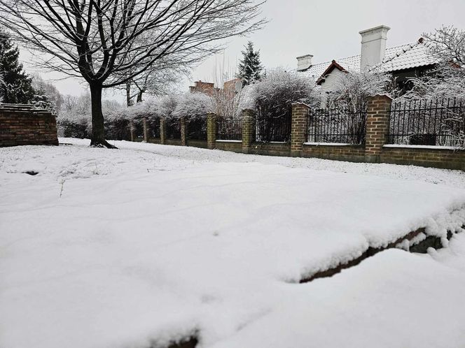 Śnieg spadł na święta. 