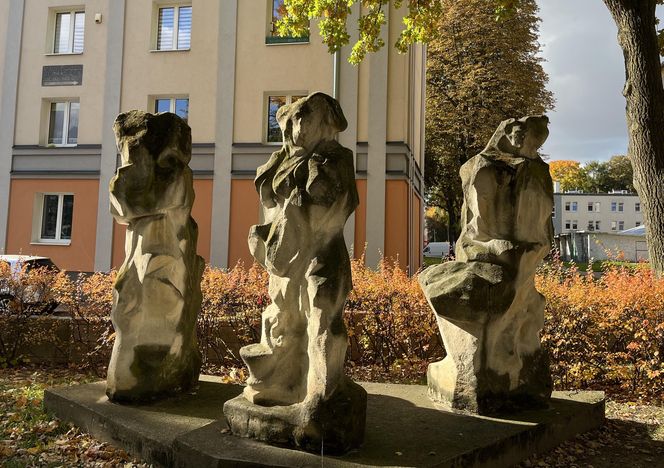 Świdnik