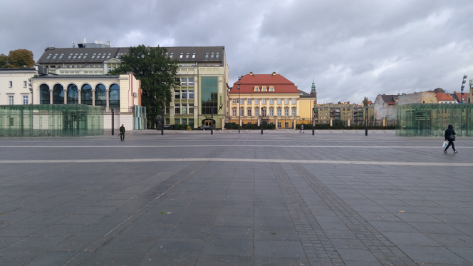 Rzeźba Twojej twarzy może stanąć na placu Wolności