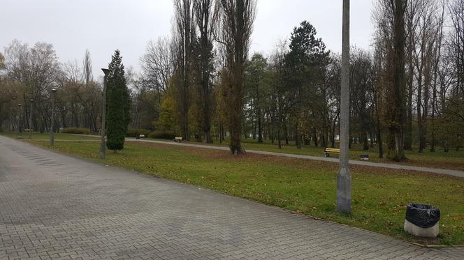Park Bioróżnorodności powstanie w Sosnowcu