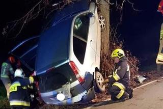 Wypadek na trasie Pruszcz - Gołuszyce! 19-latka wbiła się w drzewo 