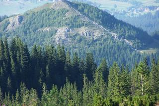 Wielki Kopieniec w Dolinie Olczykowskiej