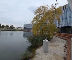 Nowa perła Bydgoszczy. Spacer wokół Akademii Muzycznej zachwyca!