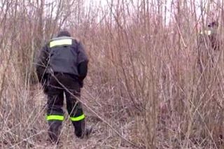 Mija 10 lat od zaginięcia pięknej tancerki. Jej zwłoki znaleźli w zaroślach na Tarchominie. Podejrzany Zbigniew H. powiesił się w celi