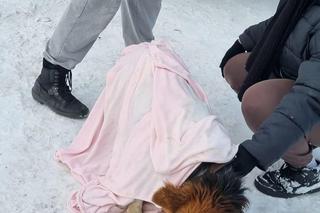 Lubelskie: Piesek nie mógł się wydostać z zamarzniętego stawu. Na pomoc ruszyli strażacy