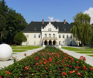 Nie tylko Miedźno. To najbiedniejsze gminy wiejskie w Śląskiem