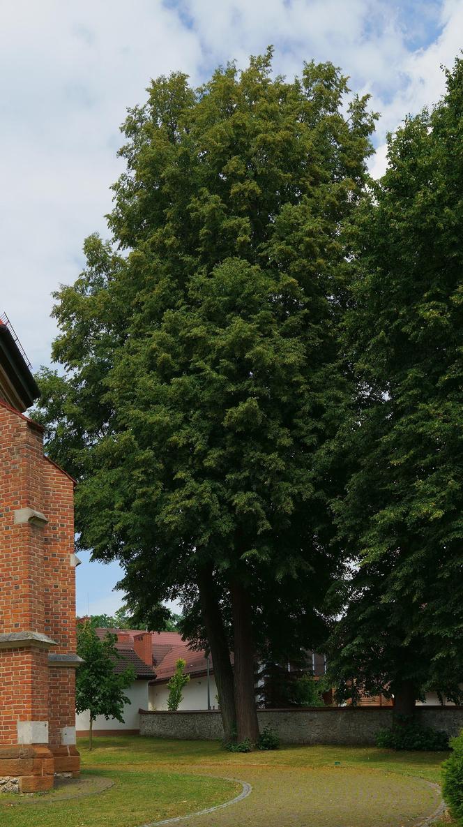 To jedna z najpiękniejszych wsi w Małopolsce. Odnaleziono w niej skarb z czasów średniowiecza 