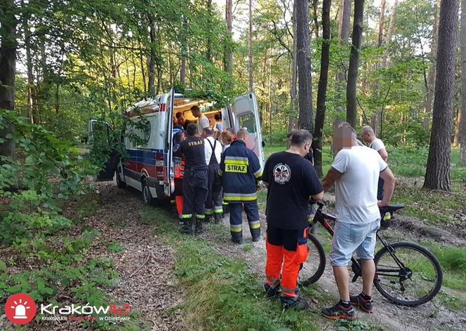 Akcja ratunkowa w Dolnie Kobylańskiej