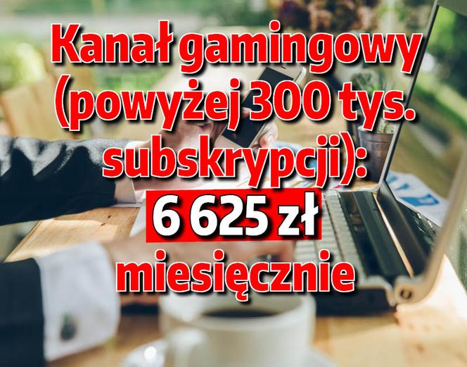 Ile zarabiają polscy youtuberzy?