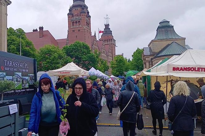 Kiermasz "Pamiętajcie o ogrodach"