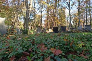 Cmentarz stary przy ul. Ogrodowej w Łodzi