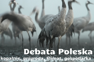 Lubelskie - górnictwo, natura i pytanie o przyszłość Polesia
