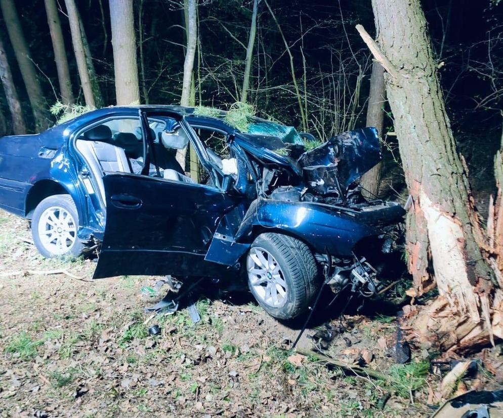 Tragedia na drodze w woj. lubelskim. Dwaj 20-latkowie zginęli po uderzeniu auta w drzewo