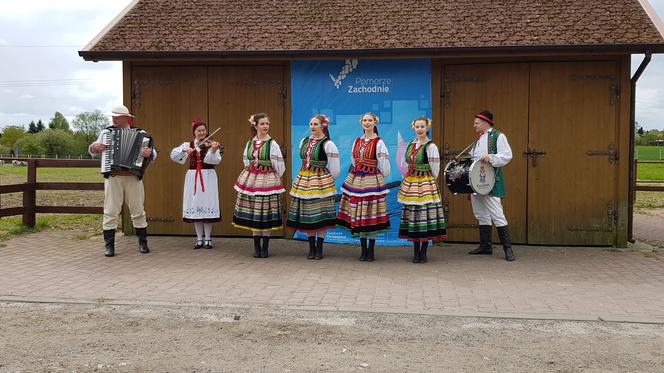 Regionalne i Towarzyskie Zawody w Skokach przez Przeszkody