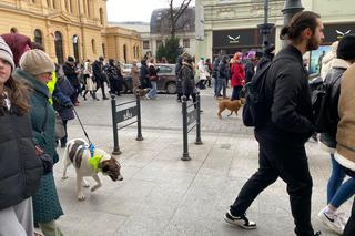 Parada Kundelków