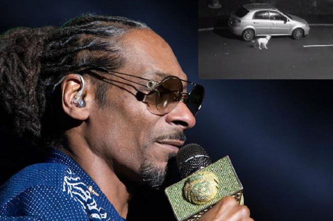 Porzucony pies biegnący za samochodem Snoop Dogg