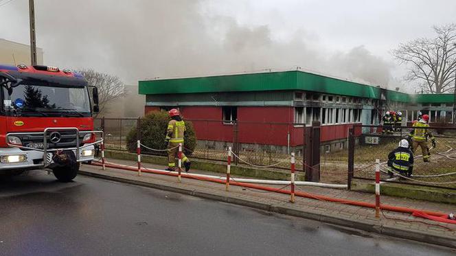Ostrów Mazowiecka. Pożar opuszczonego budunku szkolnego.