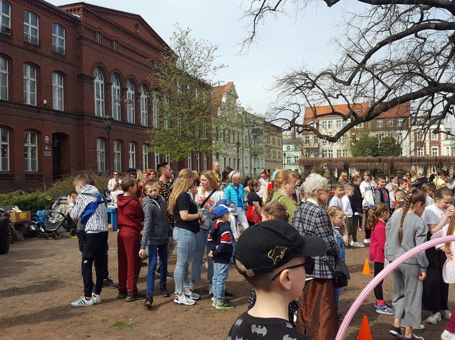 Zające chodzące i z czekolady w centrum Leszna