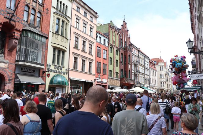Zlot jamników w Toruniu
