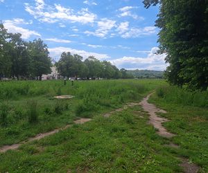 Błonia w Krakowie