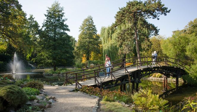 Najpiękniejszy ogród botaniczny w Polsce znów otwarty dla gości. Przygotuj się na widoki jak z bajki 