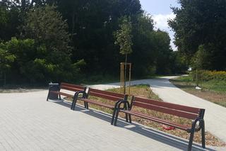 Pomost widokowy na Pogorii II w Dąbrowie Górniczej