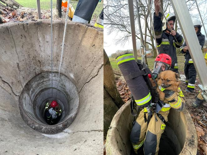 Lubelskie: Piesek wpadł do 20 metrowej studni! Na pomoc przyszli strażacy 
