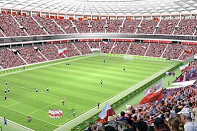 SPEC deklaruje, że jest gotowe dostarczać ciepło na potrzeby Stadionu Narodowego, włącznie z podgrzewaniem murawy