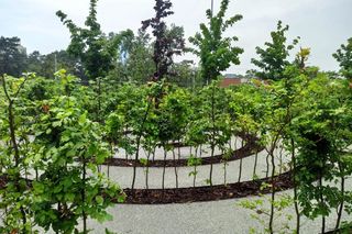 Ukraińskie ustronie to nowy toruński park kieszonkowy