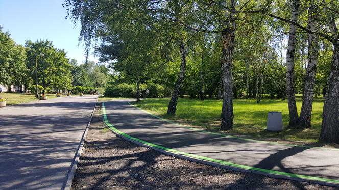 Sosnowiec: W Parku Sieleckim powstała trasa dla rolkarzy [ZDJĘCIA, WIDEO]