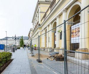 Sadzenie zieleni na placu Bankowym w maju 2025 r.