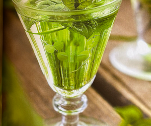 Kieliszeczek? Nalewki. Natura zamknięta w butelce Anny Szubińskiej to same sprawdzone przepisy