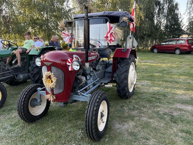 Dożynki powiatu konińskiego w Lubstowie