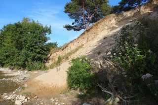   Mazurski Park Krajobrazowy