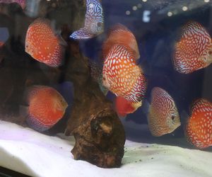 ZooPark ponownie przyciągnął do Targów Lublin tłumy miłośników zwierząt