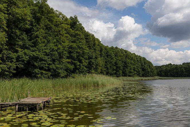 Tragiczna śmierć 15-letniego harcerza pod Wolsztynem