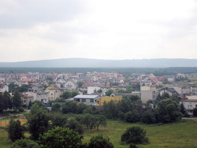 Widok na wzgórze Altana z wieży ratusza w Szydłowcu
